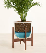 Load image into Gallery viewer, Natural Bamboo stand:walnut