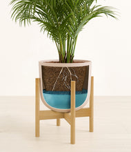 Load image into Gallery viewer, Sandy Pink stand:bamboo