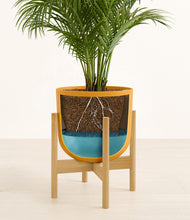 Load image into Gallery viewer, Sunset Orange stand:bamboo