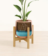 Load image into Gallery viewer, Calm Rose stand:bamboo