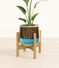 Load image into Gallery viewer, Turquoise stand:bamboo