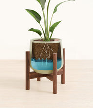 Load image into Gallery viewer, Turquoise stand:walnut