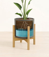 Load image into Gallery viewer, Dark Olive stand:bamboo