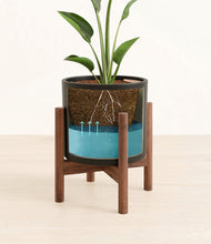 Load image into Gallery viewer, Black stand:walnut