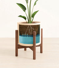 Load image into Gallery viewer, Cream stand:walnut