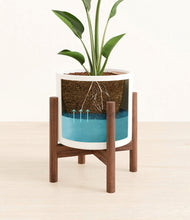 Load image into Gallery viewer, White stand:walnut