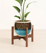 Load image into Gallery viewer, Shiny EggWhite stand:walnut