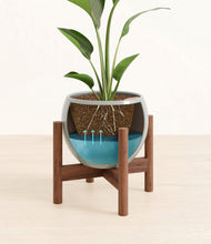 Load image into Gallery viewer, Deep Ocean stand:walnut