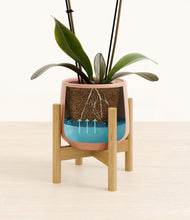 Load image into Gallery viewer, Calm Rose stand:bamboo