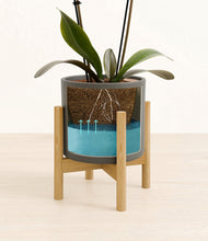 Load image into Gallery viewer, Dark Olive stand:bamboo