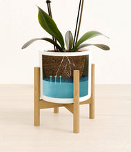 Load image into Gallery viewer, White stand:bamboo