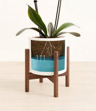 Load image into Gallery viewer, White stand:walnut