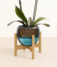 Load image into Gallery viewer, Deep Navy stand:bamboo