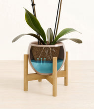 Load image into Gallery viewer, Desert Brown stand:bamboo