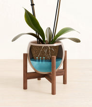 Load image into Gallery viewer, Desert Brown stand:walnut