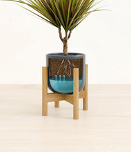 Charger l'image dans la galerie, Iron Gray stand:light