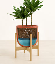 Load image into Gallery viewer, Earth Red stand:bamboo
