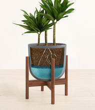 Load image into Gallery viewer, Iron Gray stand:walnut