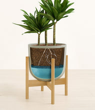 Load image into Gallery viewer, Sage Green stand:bamboo