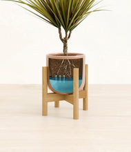 Charger l'image dans la galerie, Striped Peach Pink stand:light
