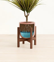 Charger l'image dans la galerie, Striped Rose Pink stand:dark