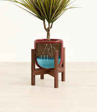 Charger l'image dans la galerie, Striped Cherry Red stand:dark