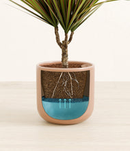 Charger l'image dans la galerie, Striped Peach Pink