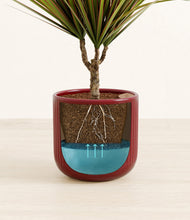 Charger l'image dans la galerie, Striped Cherry Red