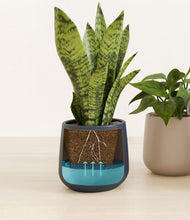 Load image into Gallery viewer, Winding River