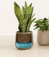 Load image into Gallery viewer, Woodland