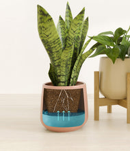 Load image into Gallery viewer, Lily Pad stand:one_stand