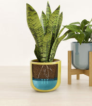 Load image into Gallery viewer, Pixie Petals stand:one_stand