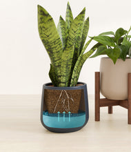 Load image into Gallery viewer, Winding River stand:one_stand