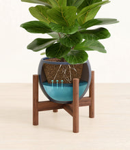 Load image into Gallery viewer, Deep Navy stand:walnut