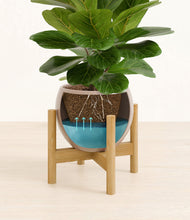 Load image into Gallery viewer, Desert Brown stand:bamboo