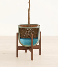 Load image into Gallery viewer, Sage Green stand:dark