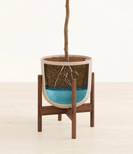 Load image into Gallery viewer, Sandy Pink stand:dark
