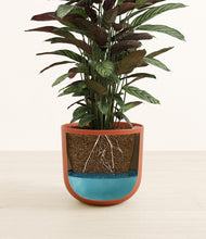 Load image into Gallery viewer, Earth Red