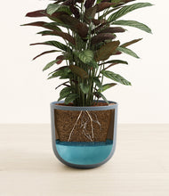 Load image into Gallery viewer, Iron Gray