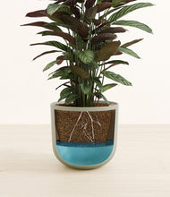 Load image into Gallery viewer, Sage Green