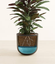 Load image into Gallery viewer, Stone Black