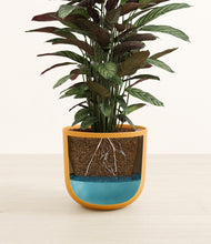 Load image into Gallery viewer, Sunset Orange