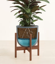 Load image into Gallery viewer, Iron Gray stand:walnut