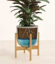 Load image into Gallery viewer, Sage Green stand:bamboo