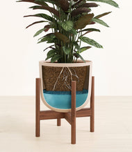 Load image into Gallery viewer, Sandy Pink stand:walnut