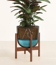 Load image into Gallery viewer, Stone Black stand:walnut