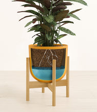 Load image into Gallery viewer, Sunset Orange stand:bamboo