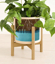 Lade das Bild in den Galerie-Viewer, Cream stand:bamboo