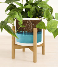 Lade das Bild in den Galerie-Viewer, White stand:bamboo