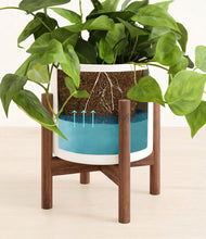 Lade das Bild in den Galerie-Viewer, White stand:walnut